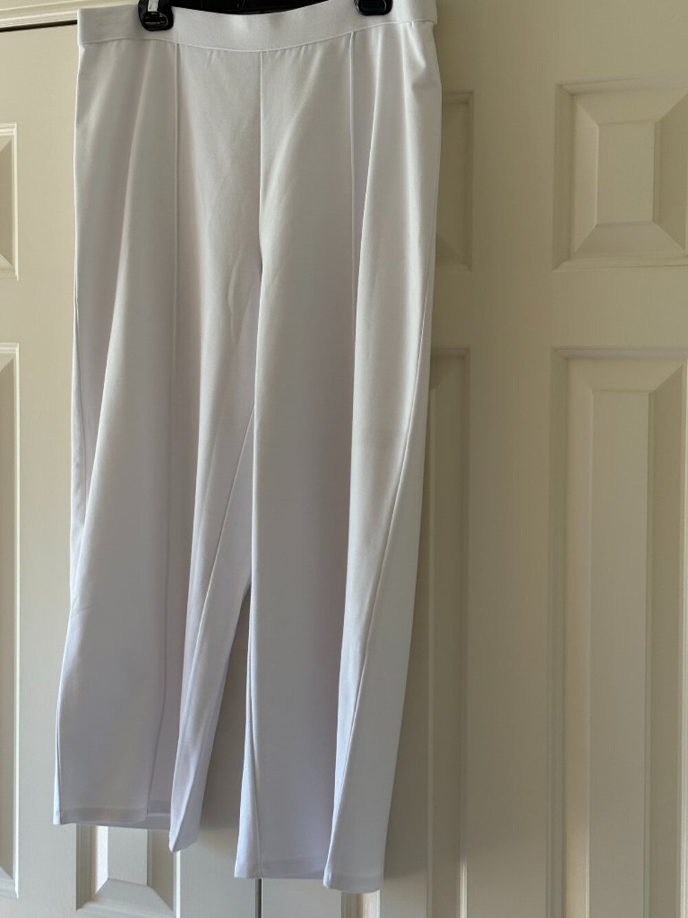 J. Jill Wearever Pull On Wide Leg Seamed Ankle Dress Pants Sz L NWOT